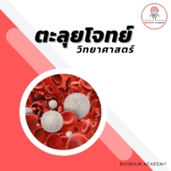 ตะลุยโจทย์ วิทย์ (SAT) ห้อง A